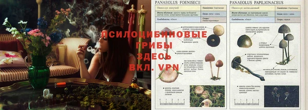 mix Аркадак