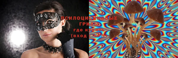 хмурый Армянск