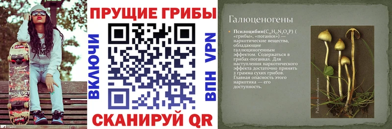 Галлюциногенные грибы мухоморы Ишимбай